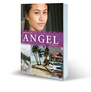 Angel: Through My Eyes - Natural Disaster Zones